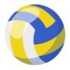 volleyball camp